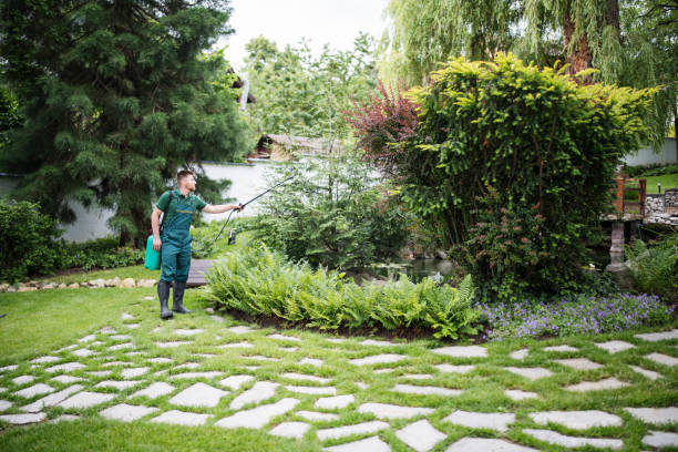 Lawn Maintenance Plans in Felton, CA